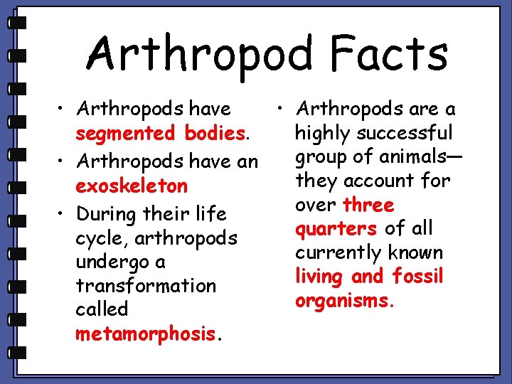 Arthropod Facts • Arthropods have • Arthropods are a segmented bodies. highly successful group