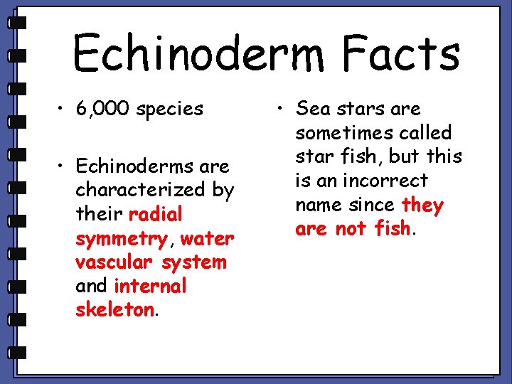 Echinoderm Facts • 6, 000 species • Echinoderms are characterized by their radial symmetry,