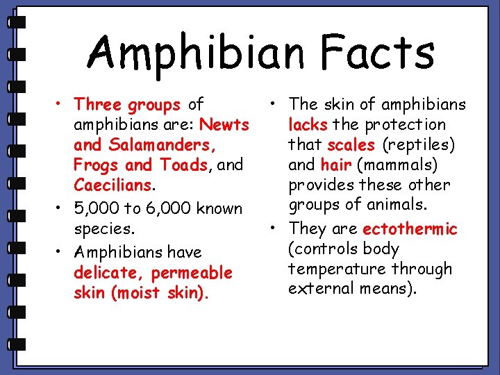 Amphibian Facts • Three groups of amphibians are: Newts and Salamanders, Frogs and Toads,