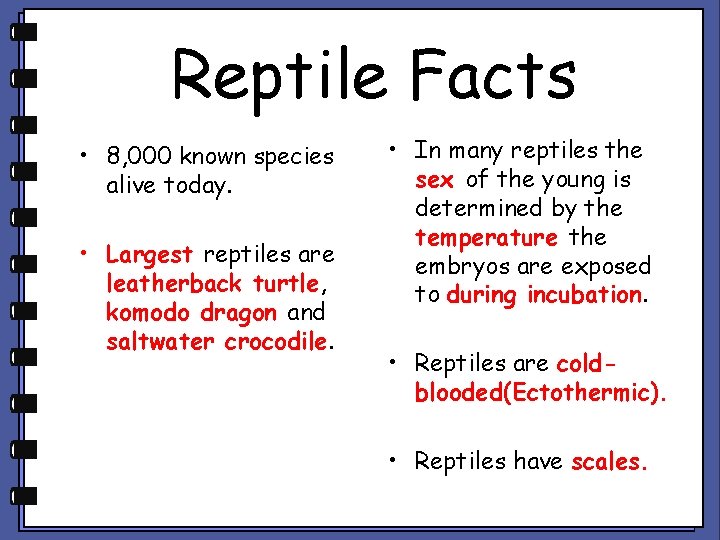 Reptile Facts • 8, 000 known species alive today. • Largest reptiles are leatherback