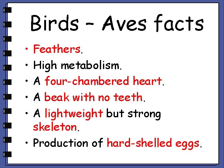 Birds – Aves facts • • • Feathers. High metabolism. A four-chambered heart. A