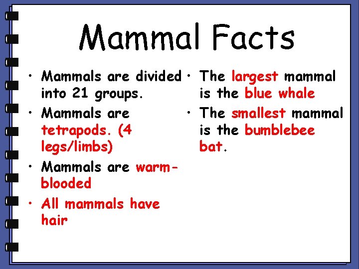 Mammal Facts • Mammals are divided • into 21 groups. • Mammals are •