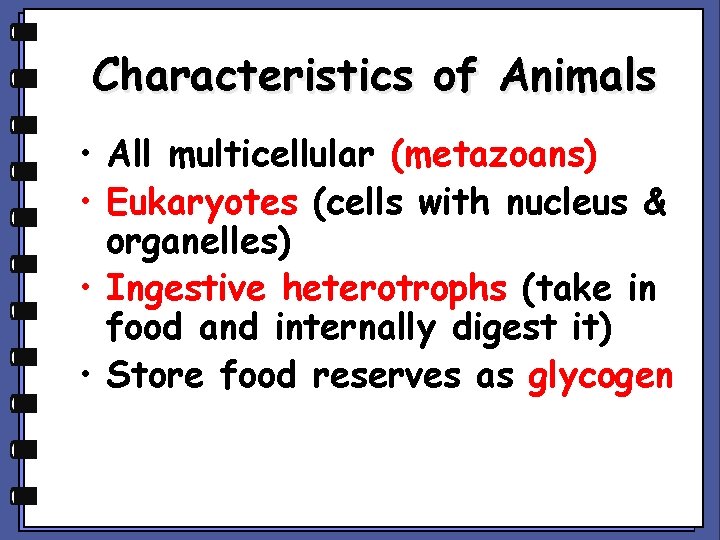 Characteristics of Animals • All multicellular (metazoans) • Eukaryotes (cells with nucleus & organelles)