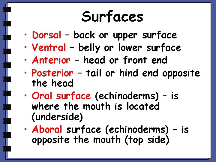 Surfaces • • Dorsal – back or upper surface Ventral – belly or lower