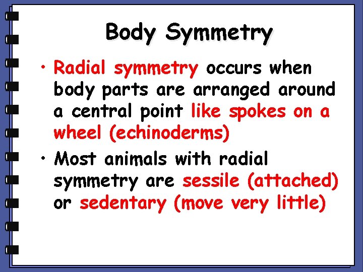 Body Symmetry • Radial symmetry occurs when body parts are arranged around a central