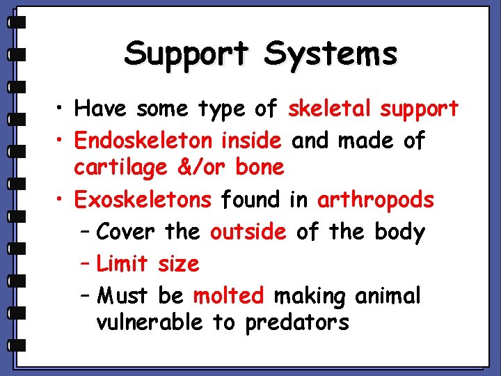 Support Systems • Have some type of skeletal support • Endoskeleton inside and made