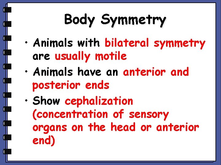 Body Symmetry • Animals with bilateral symmetry are usually motile • Animals have an