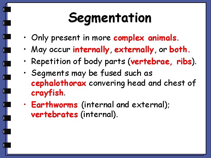 Segmentation • • Only present in more complex animals. May occur internally, externally, or