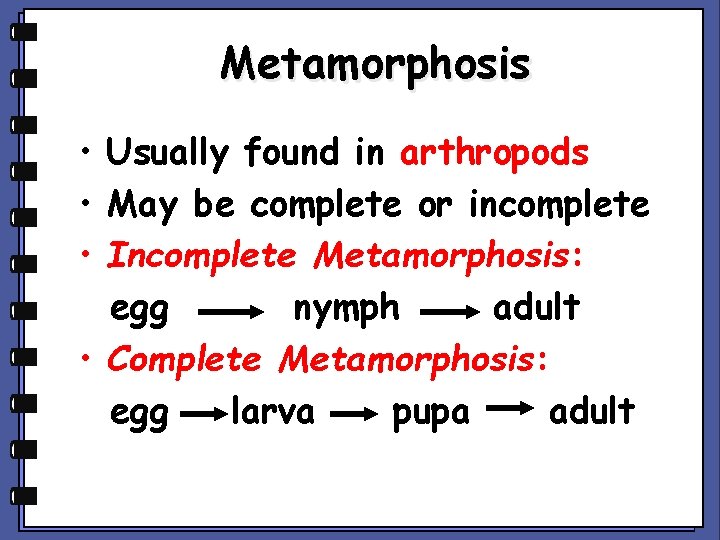 Metamorphosis • Usually found in arthropods • May be complete or incomplete • Incomplete