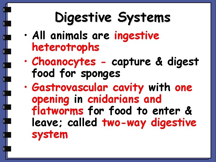 Digestive Systems • All animals are ingestive heterotrophs • Choanocytes - capture & digest