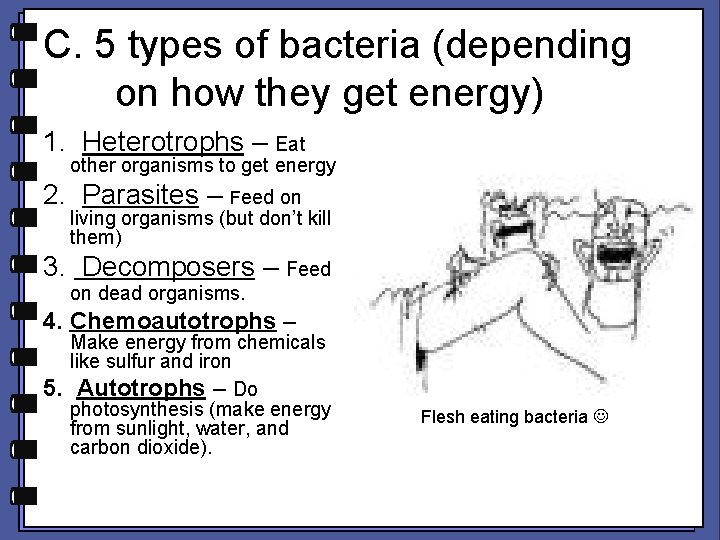 C. 5 types of bacteria (depending on how they get energy) 1. Heterotrophs –