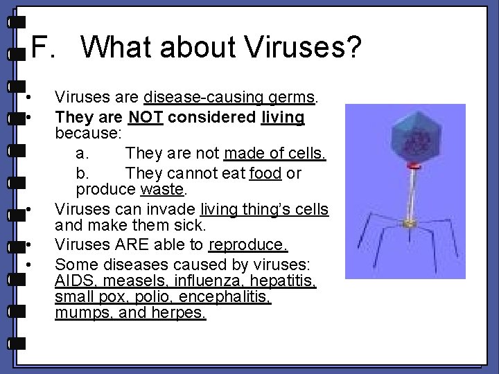 F. What about Viruses? • • • Viruses are disease-causing germs. They are NOT