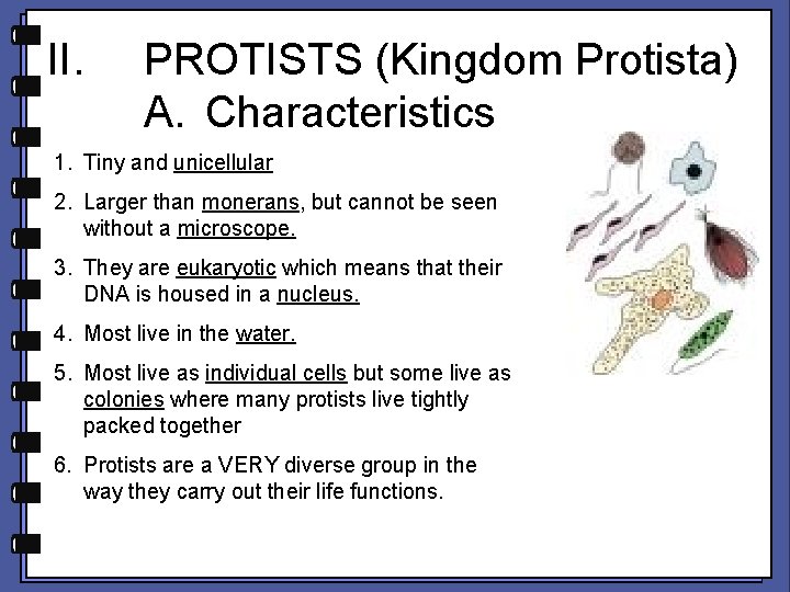 II. PROTISTS (Kingdom Protista) A. Characteristics 1. Tiny and unicellular 2. Larger than monerans,