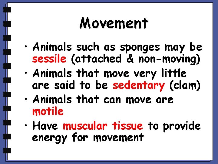Movement • Animals such as sponges may be sessile (attached & non-moving) • Animals