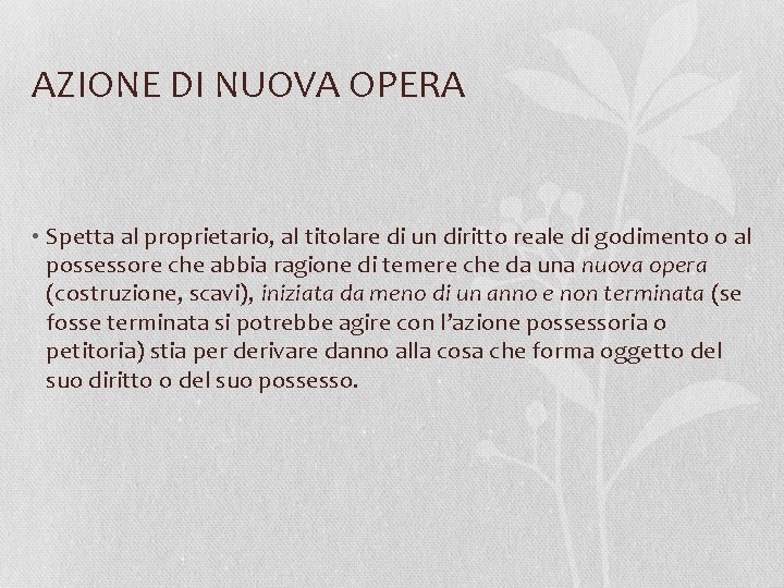 AZIONE DI NUOVA OPERA • Spetta al proprietario, al titolare di un diritto reale