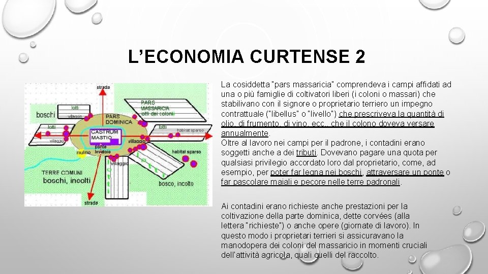 L’ECONOMIA CURTENSE 2 La cosiddetta “pars massaricia” comprendeva i campi affidati ad una o