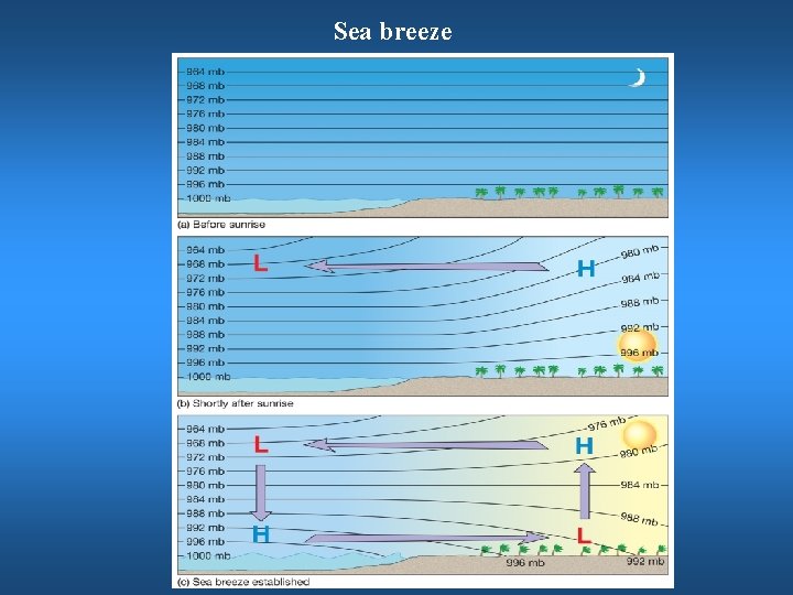 Sea breeze 