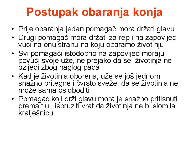 Postupak obaranja konja • Prije obaranja jedan pomagač mora držati glavu • Drugi pomagač