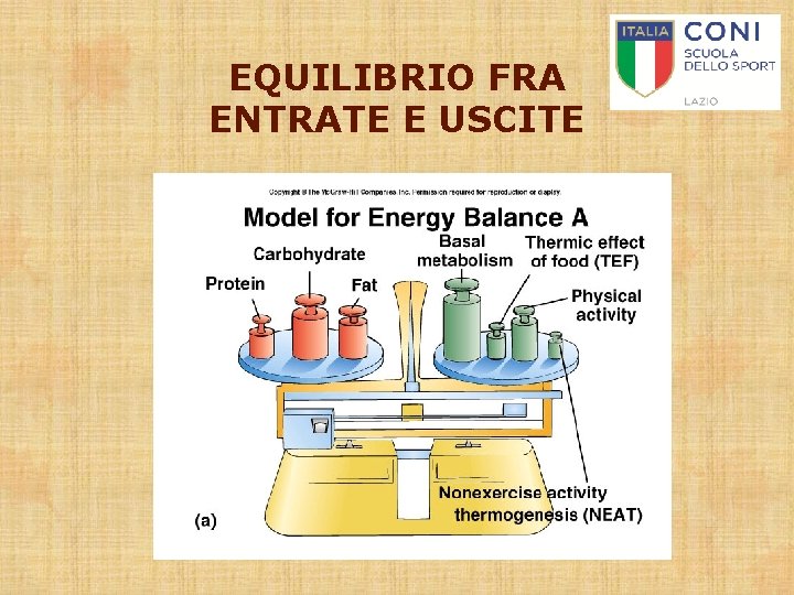 EQUILIBRIO FRA ENTRATE E USCITE 