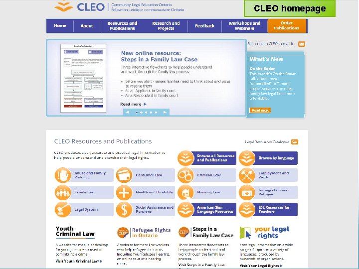 CLEO homepage 