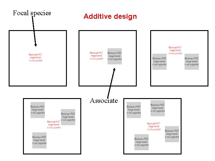 Focal species Additive design Associate 