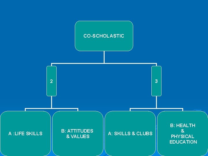 CO-SCHOLASTIC 2 A : LIFE SKILLS 3 B: ATTITUDES & VALUES A: SKILLS &