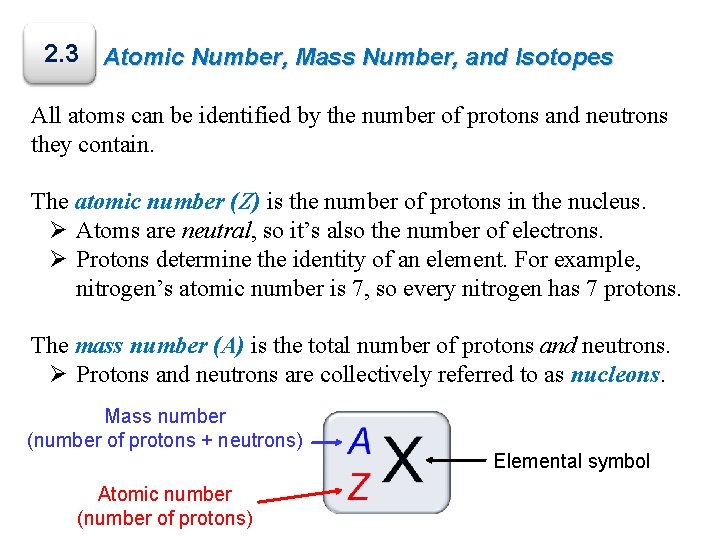 2. 3 Atomic Number, Mass Number, and Isotopes All atoms can be identified by