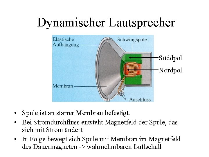 Dynamischer Lautsprecher Süddpol Nordpol • Spule ist an starrer Membran befestigt. • Bei Stromdurchfluss