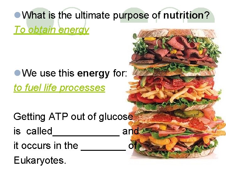 l What is the ultimate purpose of nutrition? To obtain energy l We use