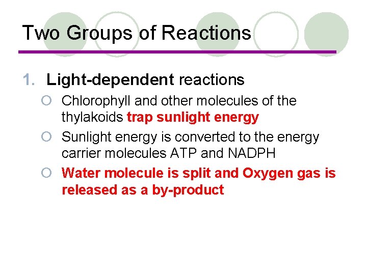 Two Groups of Reactions 1. Light-dependent reactions ¡ Chlorophyll and other molecules of the