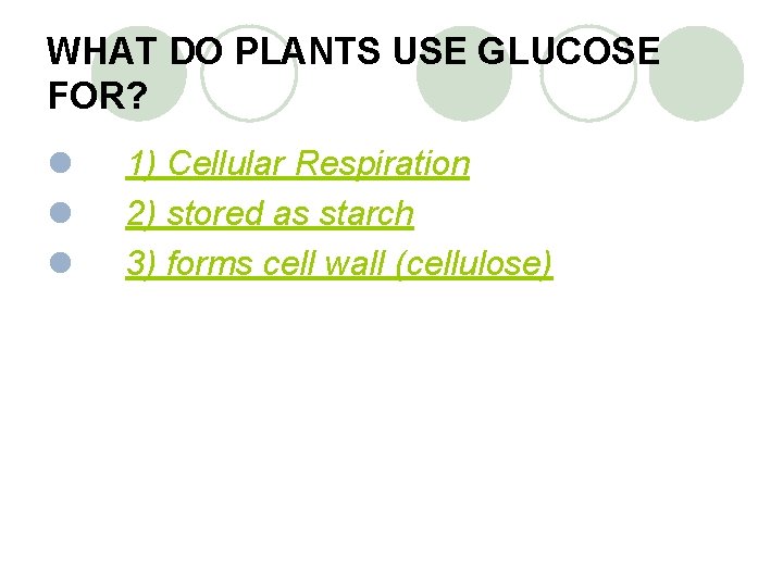 WHAT DO PLANTS USE GLUCOSE FOR? l l l 1) Cellular Respiration 2) stored