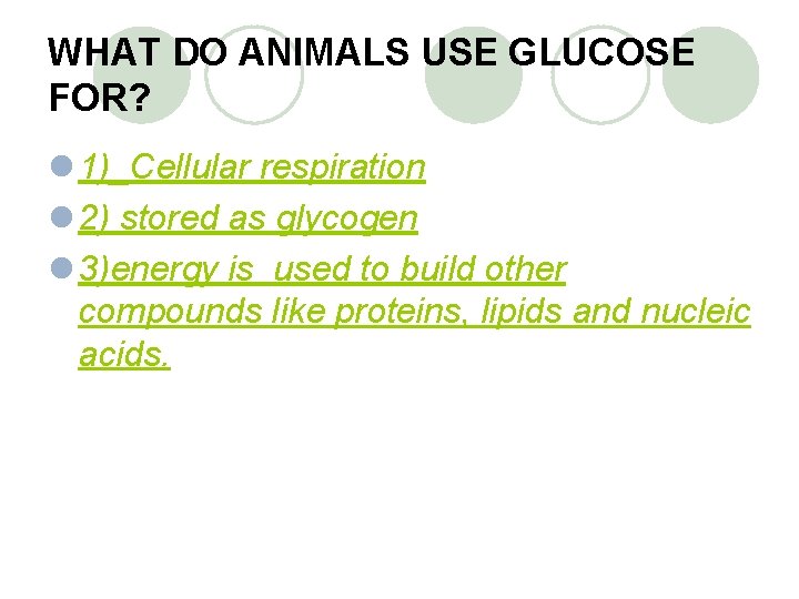 WHAT DO ANIMALS USE GLUCOSE FOR? l 1)_Cellular respiration l 2) stored as glycogen
