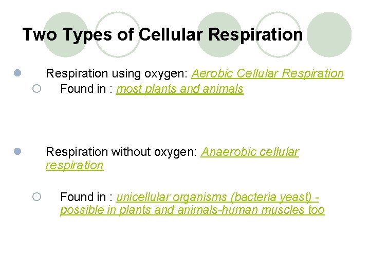 Two Types of Cellular Respiration l Respiration using oxygen: Aerobic Cellular Respiration ¡ Found