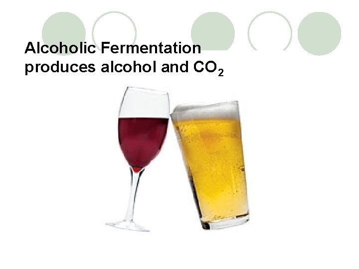 Alcoholic Fermentation produces alcohol and CO 2 