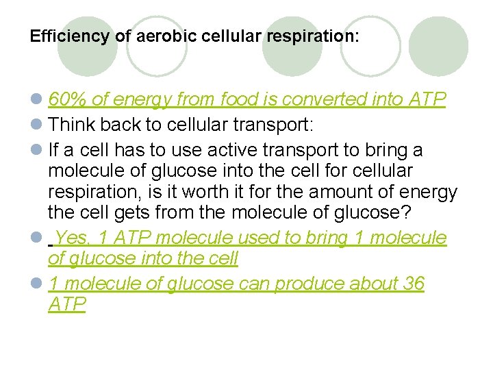 Efficiency of aerobic cellular respiration: l 60% of energy from food is converted into