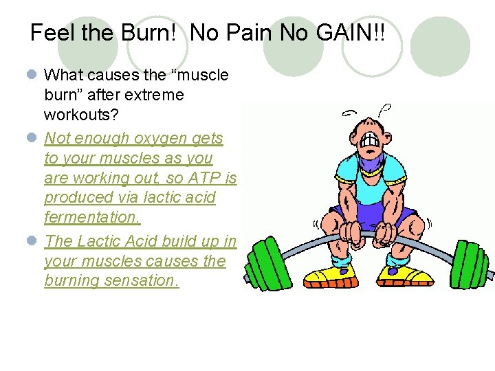 Feel the Burn! No Pain No GAIN!! l What causes the “muscle burn” after