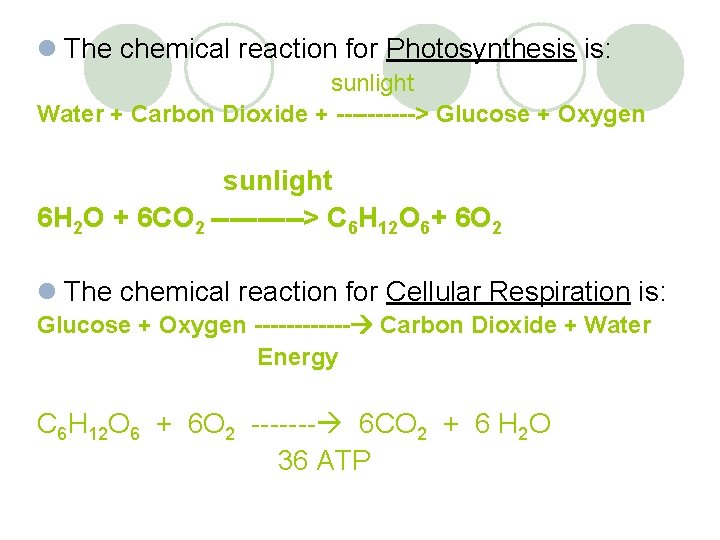 l The chemical reaction for Photosynthesis is: sunlight Water + Carbon Dioxide + ----->