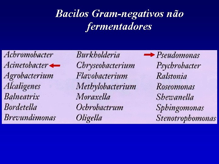 Bacilos Gram-negativos não fermentadores 