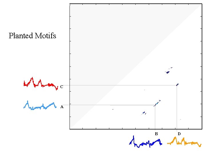 Planted Motifs C A B D 