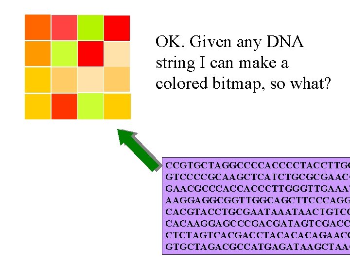 OK. Given any DNA string I can make a colored bitmap, so what? CCGTGCTAGGCCCCACCCCTACCTTGC