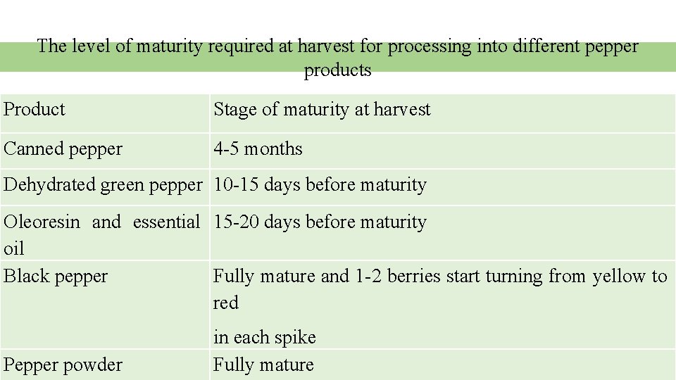 The level of maturity required at harvest for processing into different pepper products Product