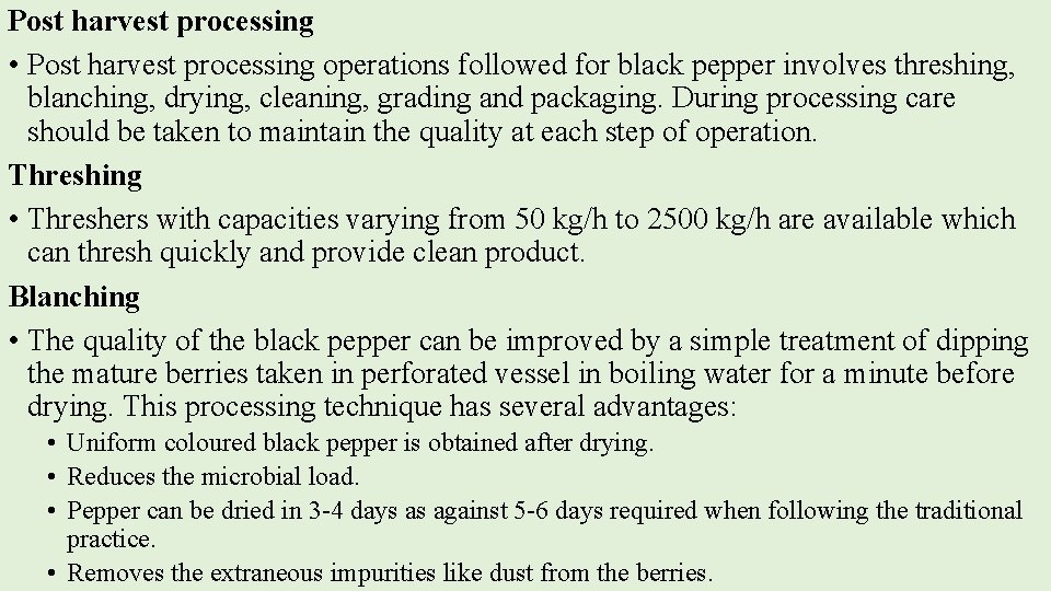 Post harvest processing • Post harvest processing operations followed for black pepper involves threshing,