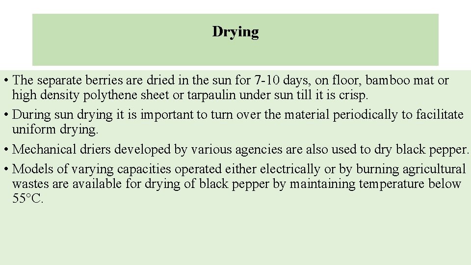 Drying • The separate berries are dried in the sun for 7 -10 days,