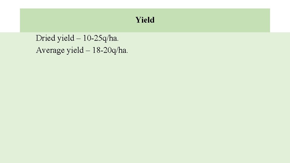 Yield Dried yield – 10 -25 q/ha. Average yield – 18 -20 q/ha. 