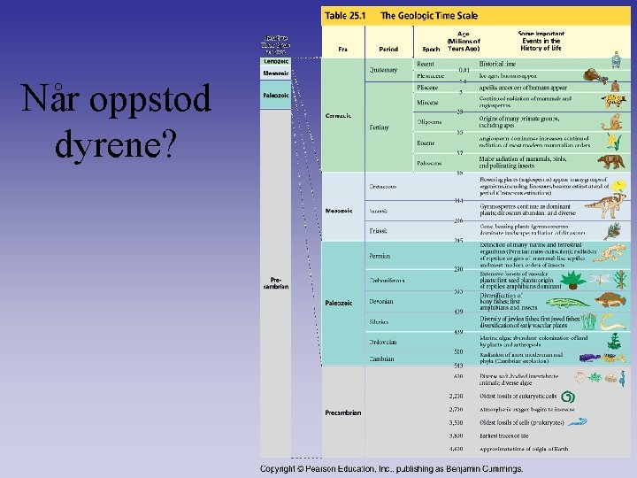 Når oppstod dyrene? 