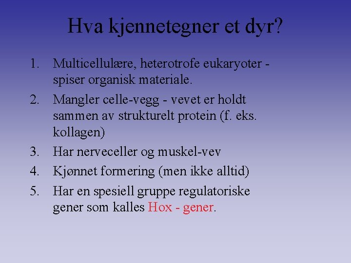 Hva kjennetegner et dyr? 1. Multicellulære, heterotrofe eukaryoter spiser organisk materiale. 2. Mangler celle-vegg