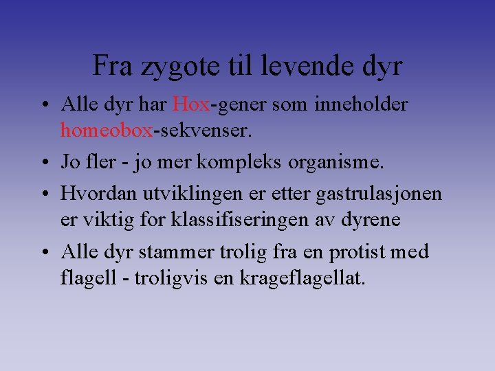 Fra zygote til levende dyr • Alle dyr har Hox-gener som inneholder homeobox-sekvenser. •