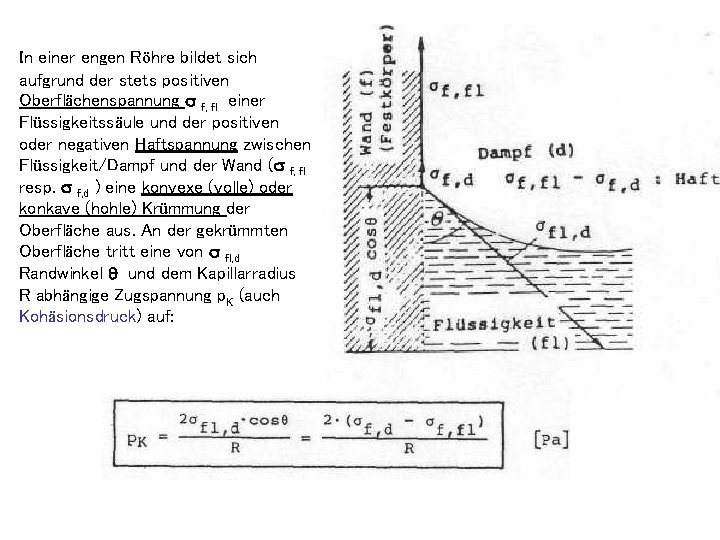 In einer engen Röhre bildet sich aufgrund der stets positiven Oberflächenspannung f, fl einer