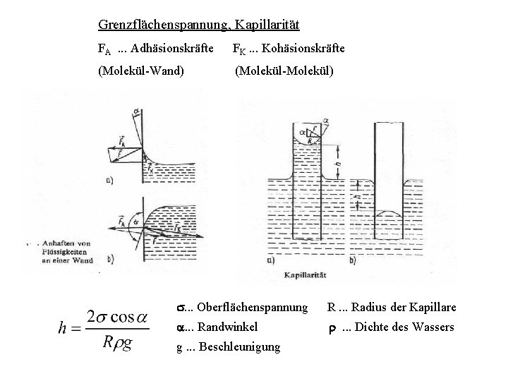 Grenzflächenspannung, Kapillarität FA . . . Adhäsionskräfte FK. . . Kohäsionskräfte (Molekül-Wand) (Molekül-Molekül) .