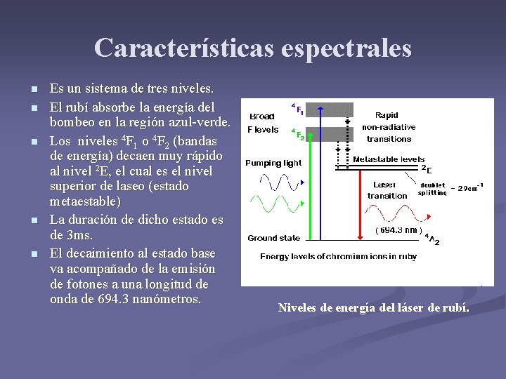 Características espectrales n n n Es un sistema de tres niveles. El rubí absorbe